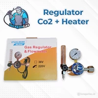 Regulator Co2 with Heater 220V